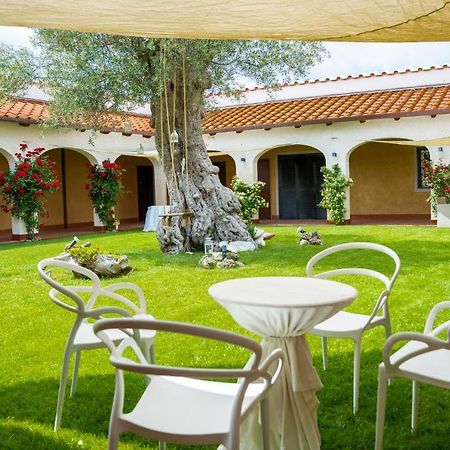 Tenuta Amalthea Villa Sessa Aurunca Bagian luar foto