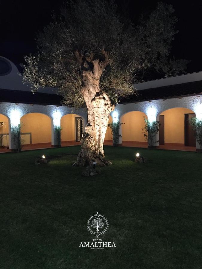 Tenuta Amalthea Villa Sessa Aurunca Bagian luar foto
