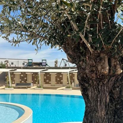 Tenuta Amalthea Villa Sessa Aurunca Bagian luar foto